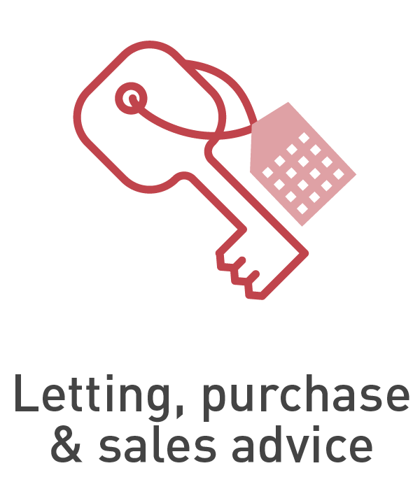 letting, purchase & sales advice icon